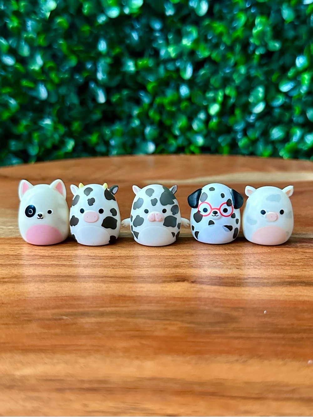 Squish-a-long by Squishmallows Spotted Animals Bundle